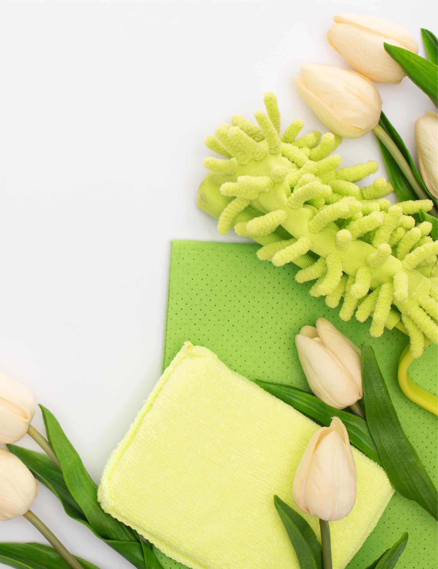 Zerorez has environmentally friendly options for you and your family.