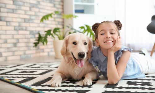 Summer Cleaning Tips for a Sparkling Home