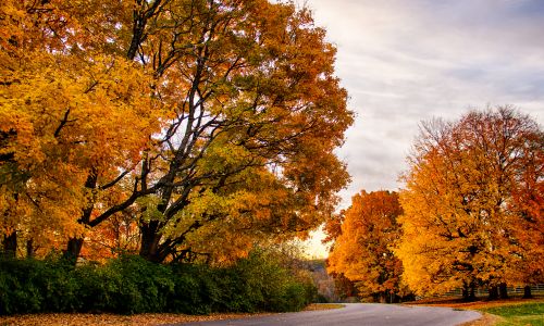 Fall Maintenance Checklist