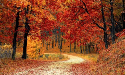 5 Home Design Trends for Fall