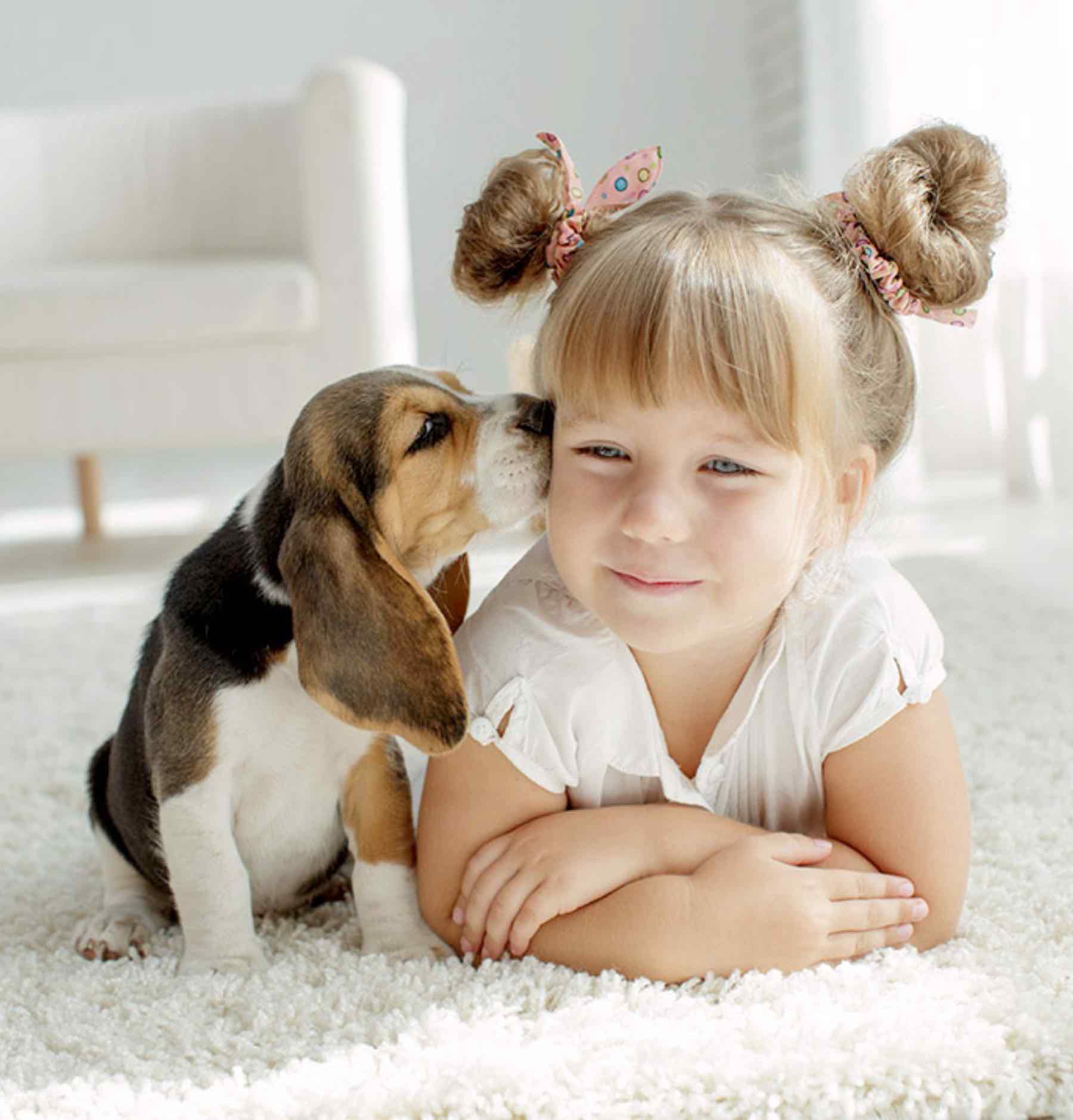 Avoid These Common Vacuuming Mistakes